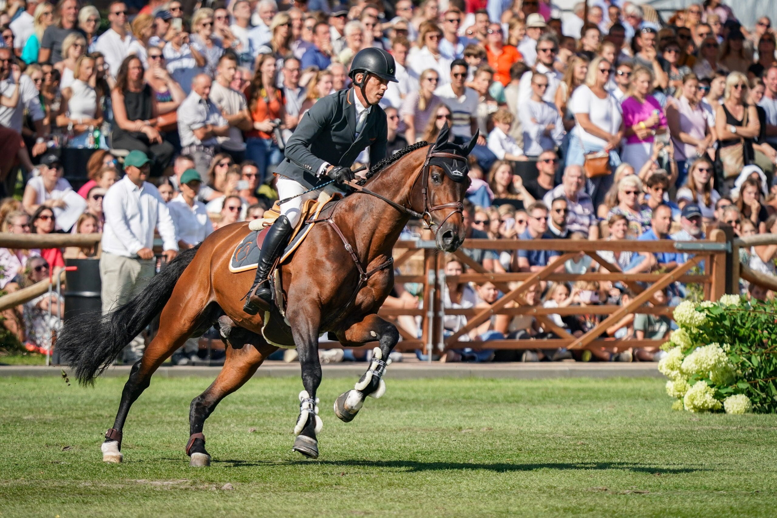 Harrie Smolders of Netherlands riding Uricas V/D Kattevennen during the Brussels Stephex Masters on August 28, 2022 in Brussels, Belgium. (Photo by Pierre Costabadie/Icon Sport)
